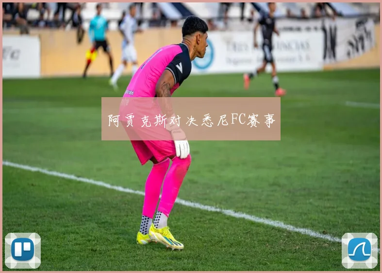 阿贾克斯对决悉尼FC赛事