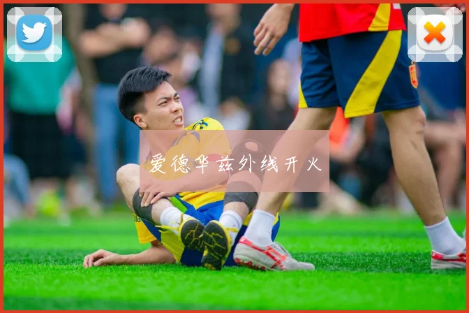 爱德华兹外线开火