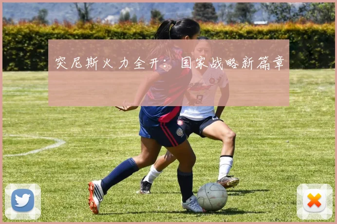 突尼斯火力全开：国家战略新篇章