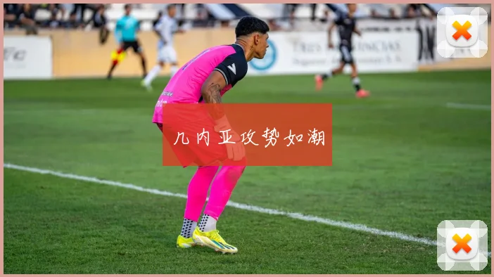 几内亚攻势如潮