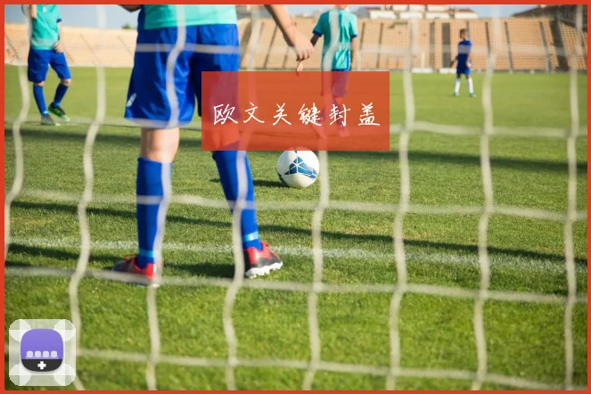 欧文关键封盖