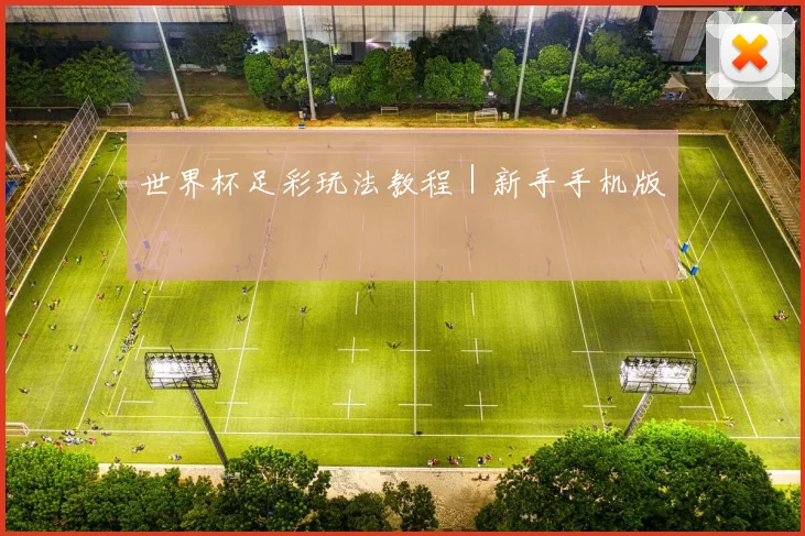 世界杯足彩玩法教程｜新手手机版