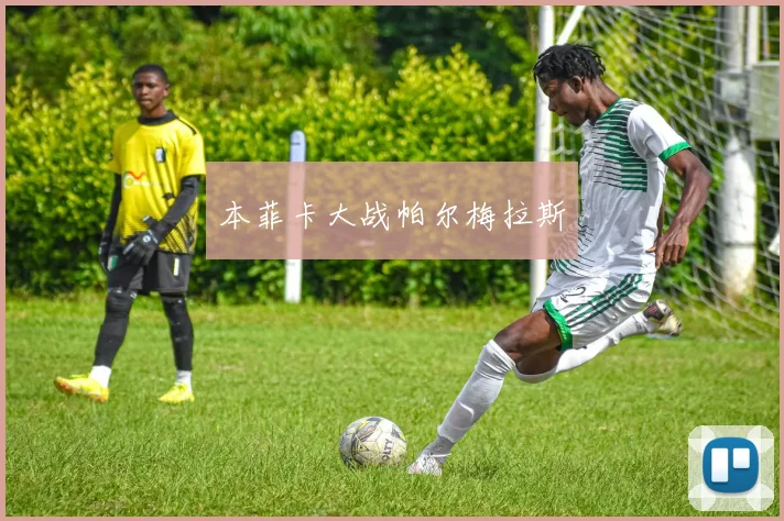 本菲卡大战帕尔梅拉斯