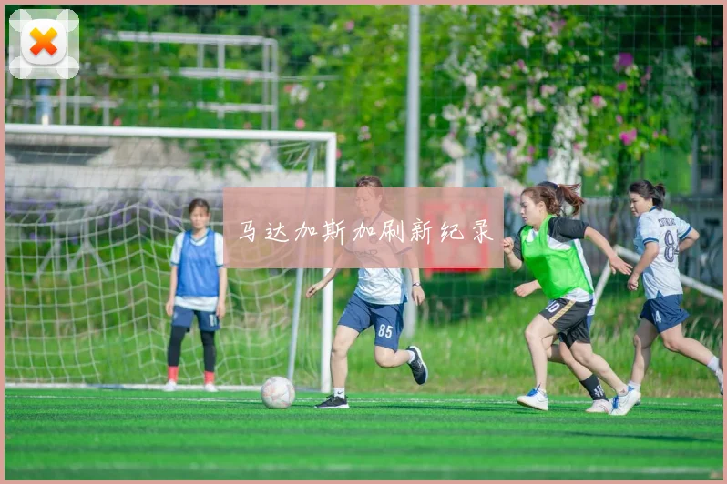 马达加斯加刷新纪录