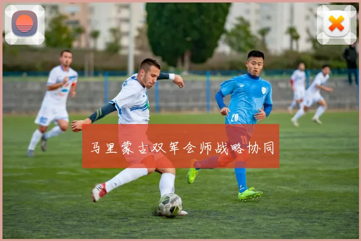 马里蒙古双军会师战略协同