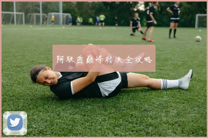 阿联酋巅峰对决全攻略