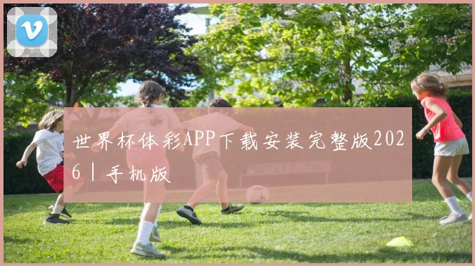 世界杯体彩APP下载安装完整版2026｜手机版