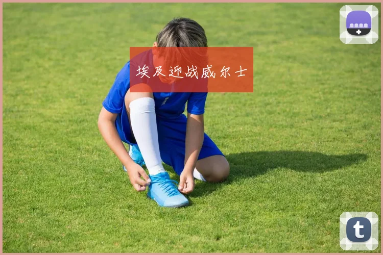 埃及迎战威尔士