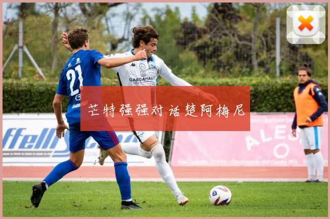 芒特强强对话楚阿梅尼