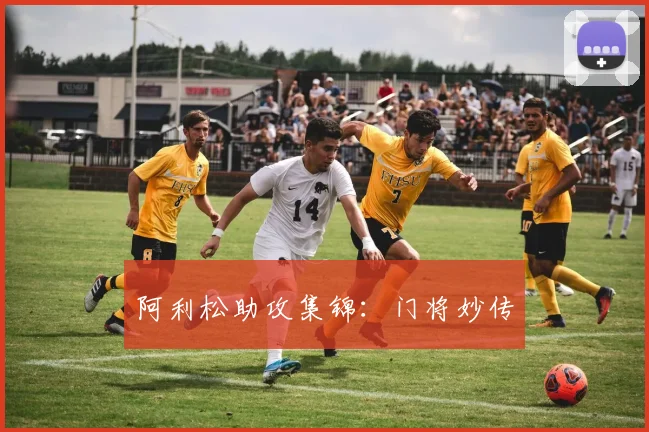 阿利松助攻集锦：门将妙传