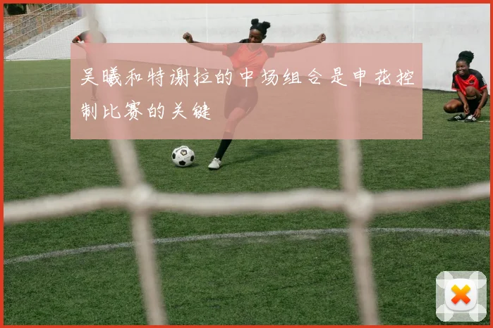 吴曦和特谢拉的中场组合是申花控制比赛的关键