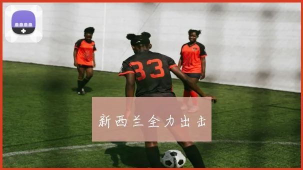 新西兰全力出击
