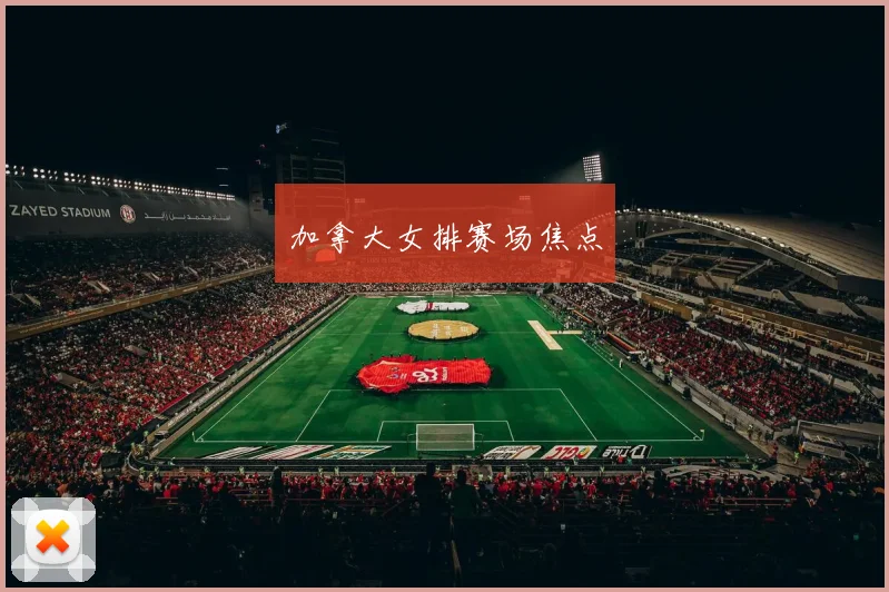 加拿大女排赛场焦点