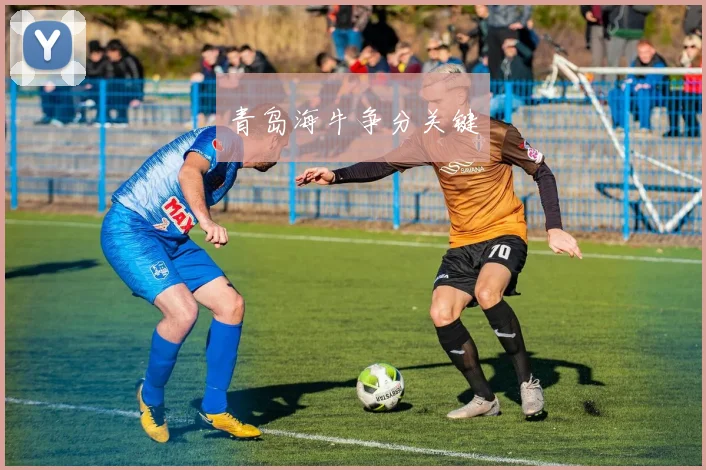 青岛海牛争分关键