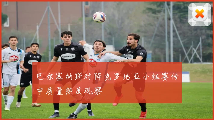 巴尔塞纳斯对阵克罗地亚小组赛传中质量热度观察