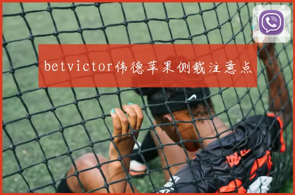 betvictor伟德苹果侧载注意点