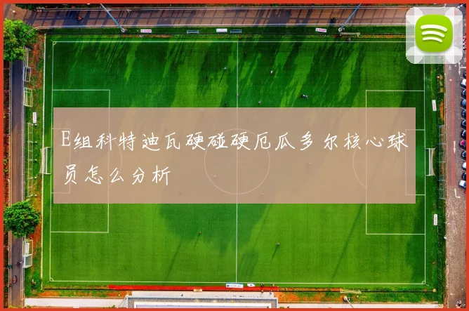 E组科特迪瓦硬碰硬厄瓜多尔核心球员怎么分析